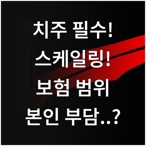 치주질환 예방 필수! 스케일링 건강보..