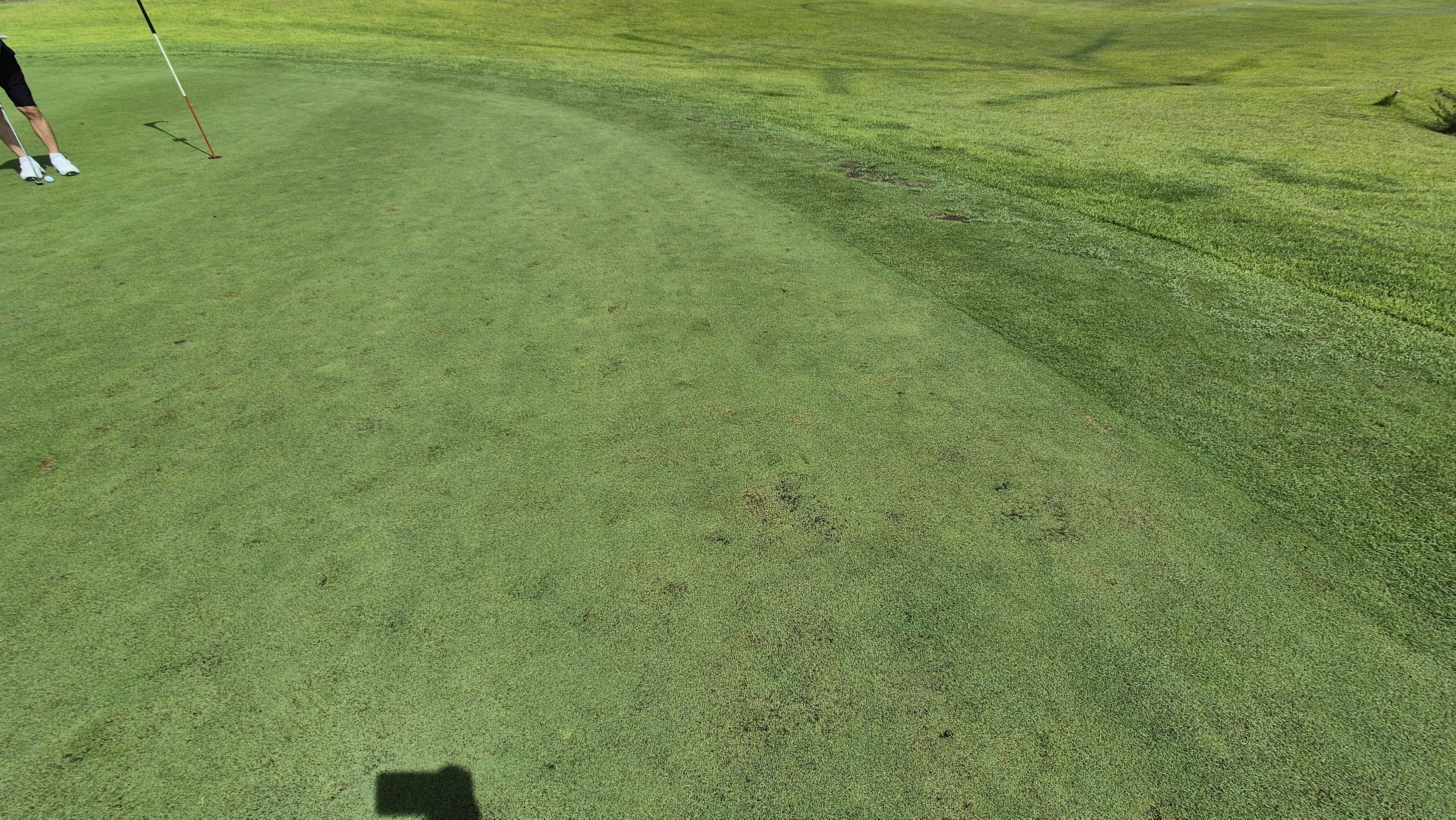 플라밍고cc 듄스-링크스 코스 라운드 후기