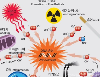 활성산소 줄이는 방법 알아보기