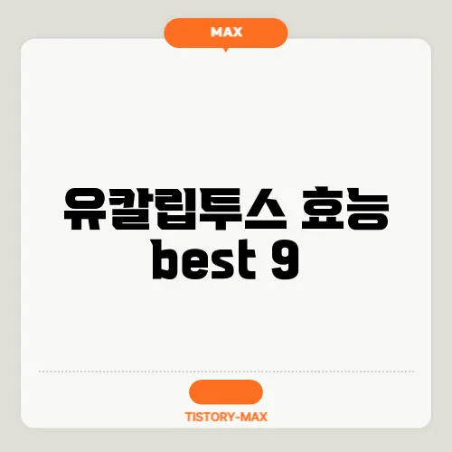 유칼립투스 효능 best 9