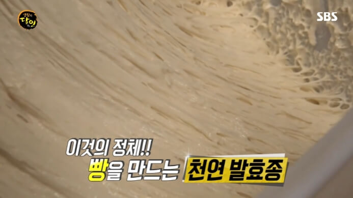 달인-천연발효종