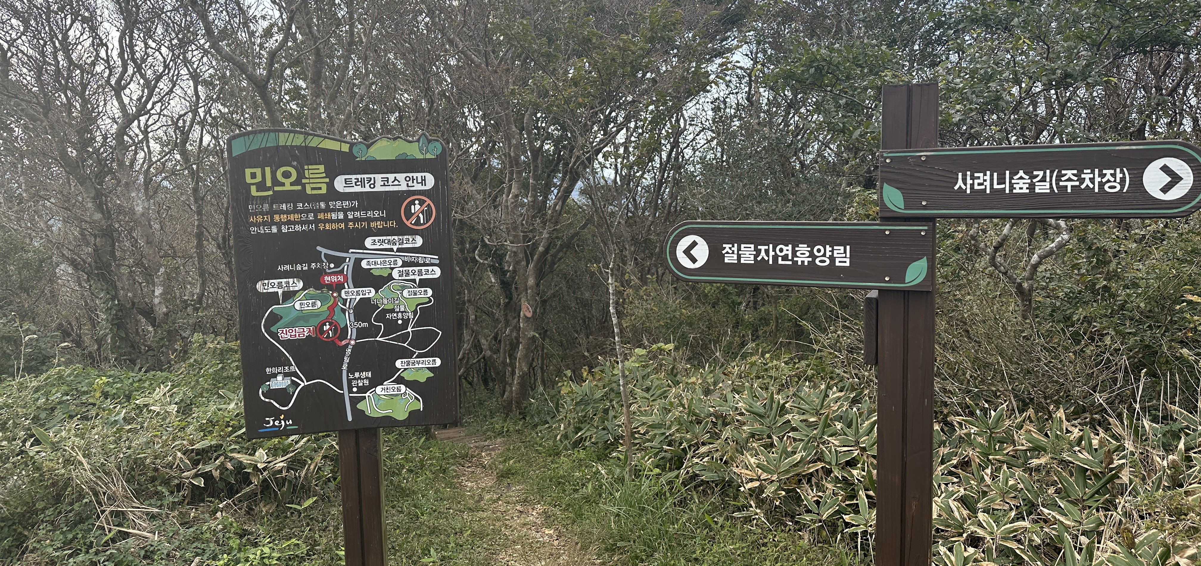 봉개동 민오름 정상