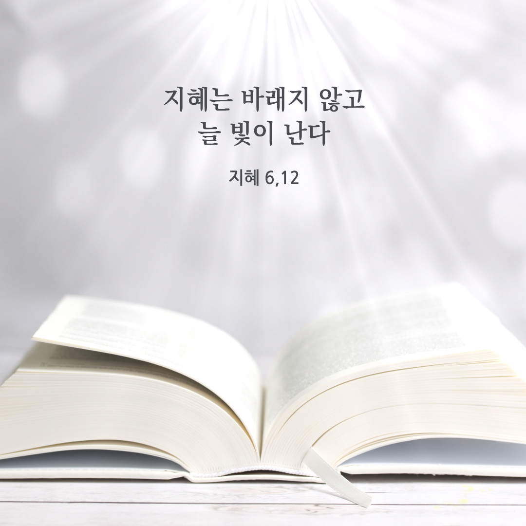 지혜는 바래지 않고 늘 빛이 난다. (지혜 6,12)