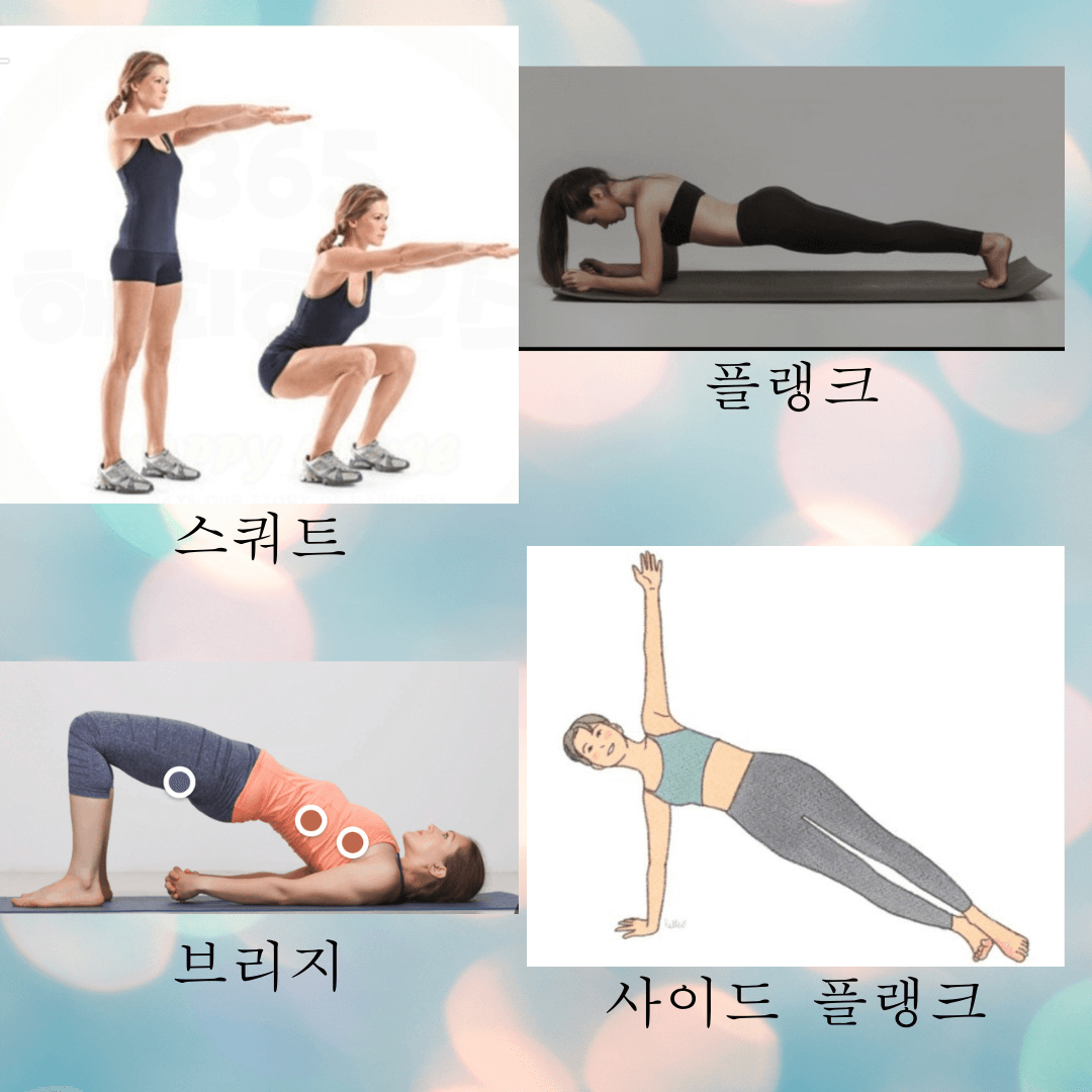 코어근육운동 종류, 플랭크, 스쿼트, 브리지