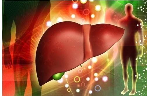 사상체질별 간 해독법