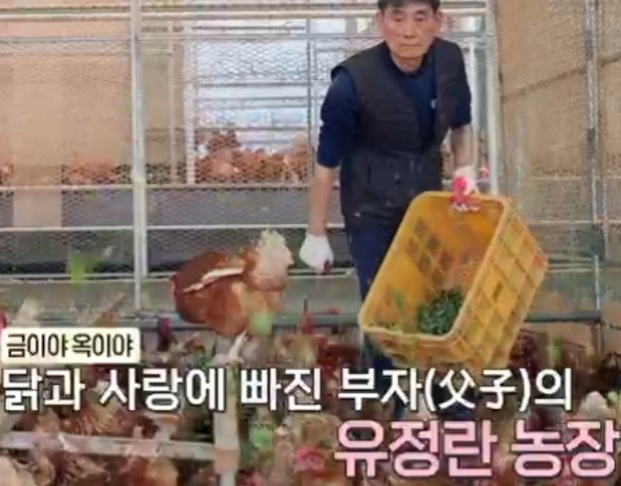 동네한바퀴-경기도-연천-유정란-유나네자연숲농장-행복한달걀