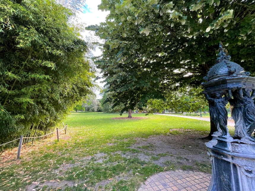 보르도 식물원 숲