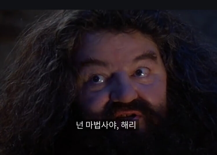 해그리드와의-첫-만남-장면