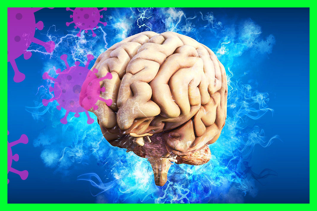 수막구균_감염_증상