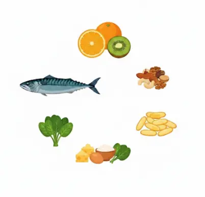 영양소-대표-음식