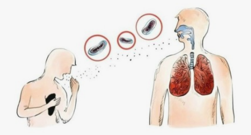 폐결핵-전파-경로