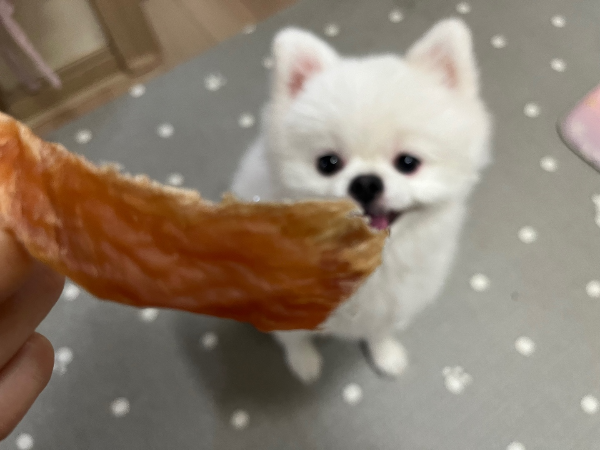 간식
