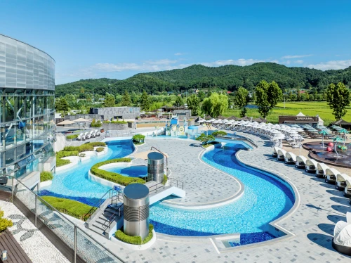 파라다이스도고