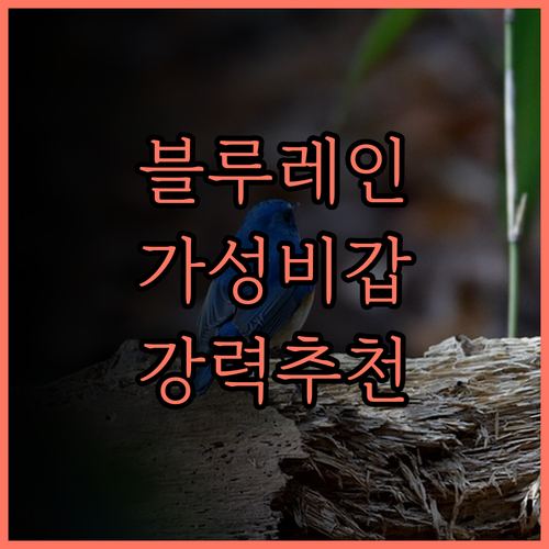 스위스벨호텔 블루레인 후기 마닐라 여