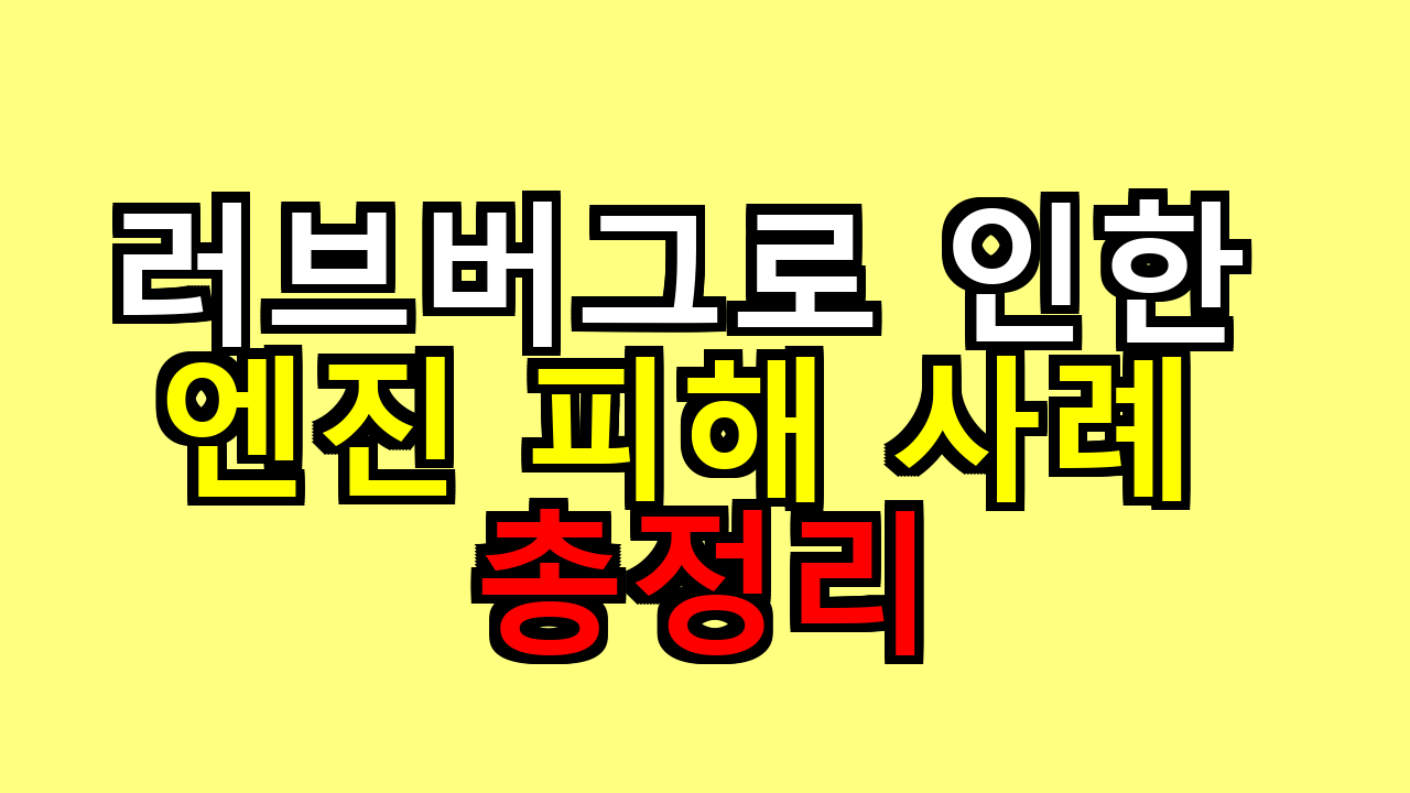 러브버그로 인한 엔진 피해 사례 총정리