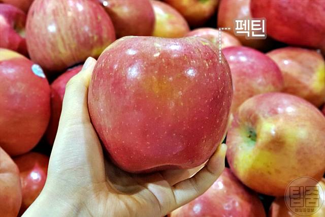 혈관에 좋은 과일 혈행개선제 음식 추천 사과