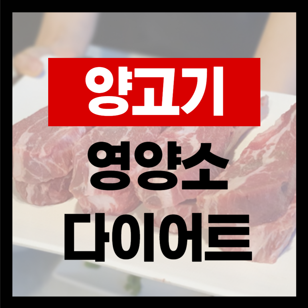 양고기 양꼬치 칼로리 영양소 다이어트 식단