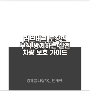 러브버그 도장면 부식 방지하는 실전 차량 보호 가이드
