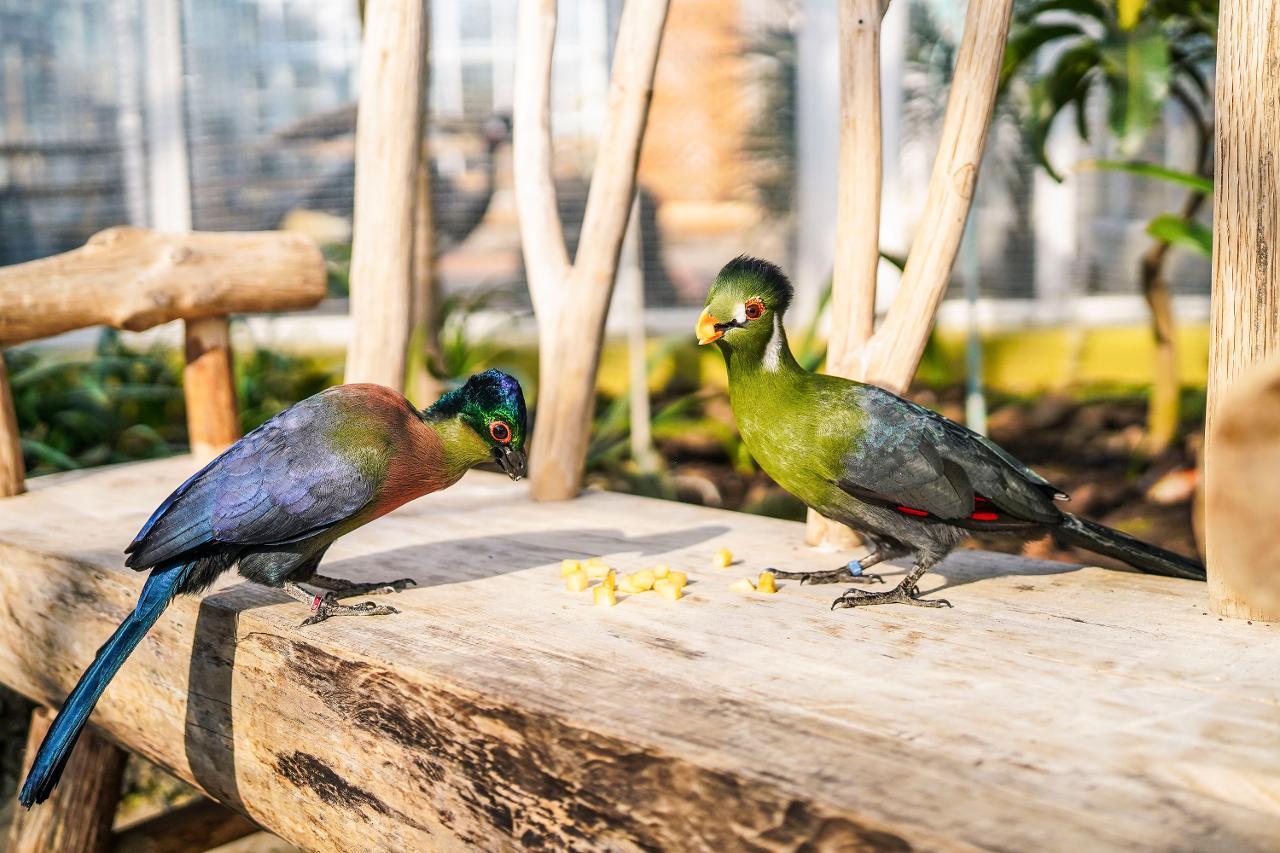 화조원 관련 사진 (제주관광공사 홈페이지에서)