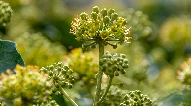 1. 자동문 설치비용의 주요 요소