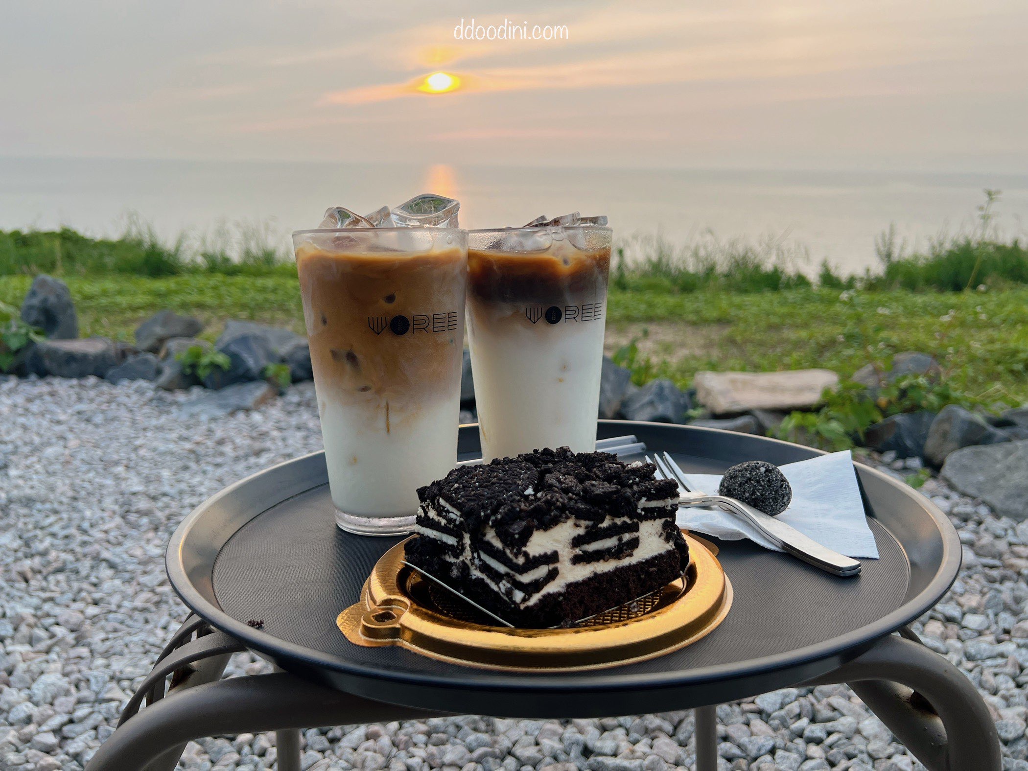 백수해안도로 보리