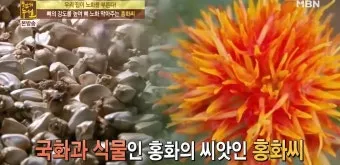 홍화씨 기름 효능 8가지 사용법 부작용에 대해서 알아보기_14