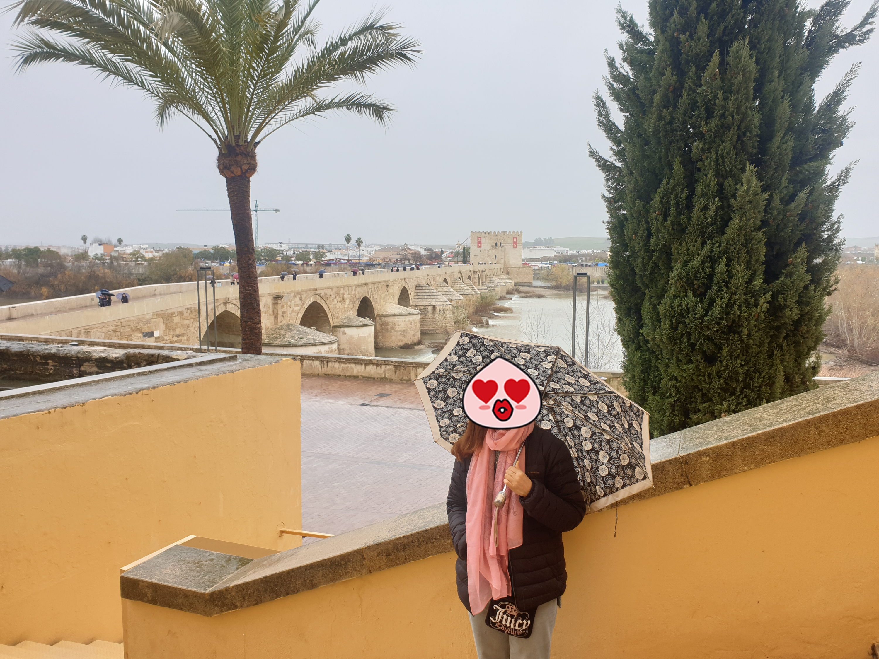 이미지-alt-태그-로마 다리