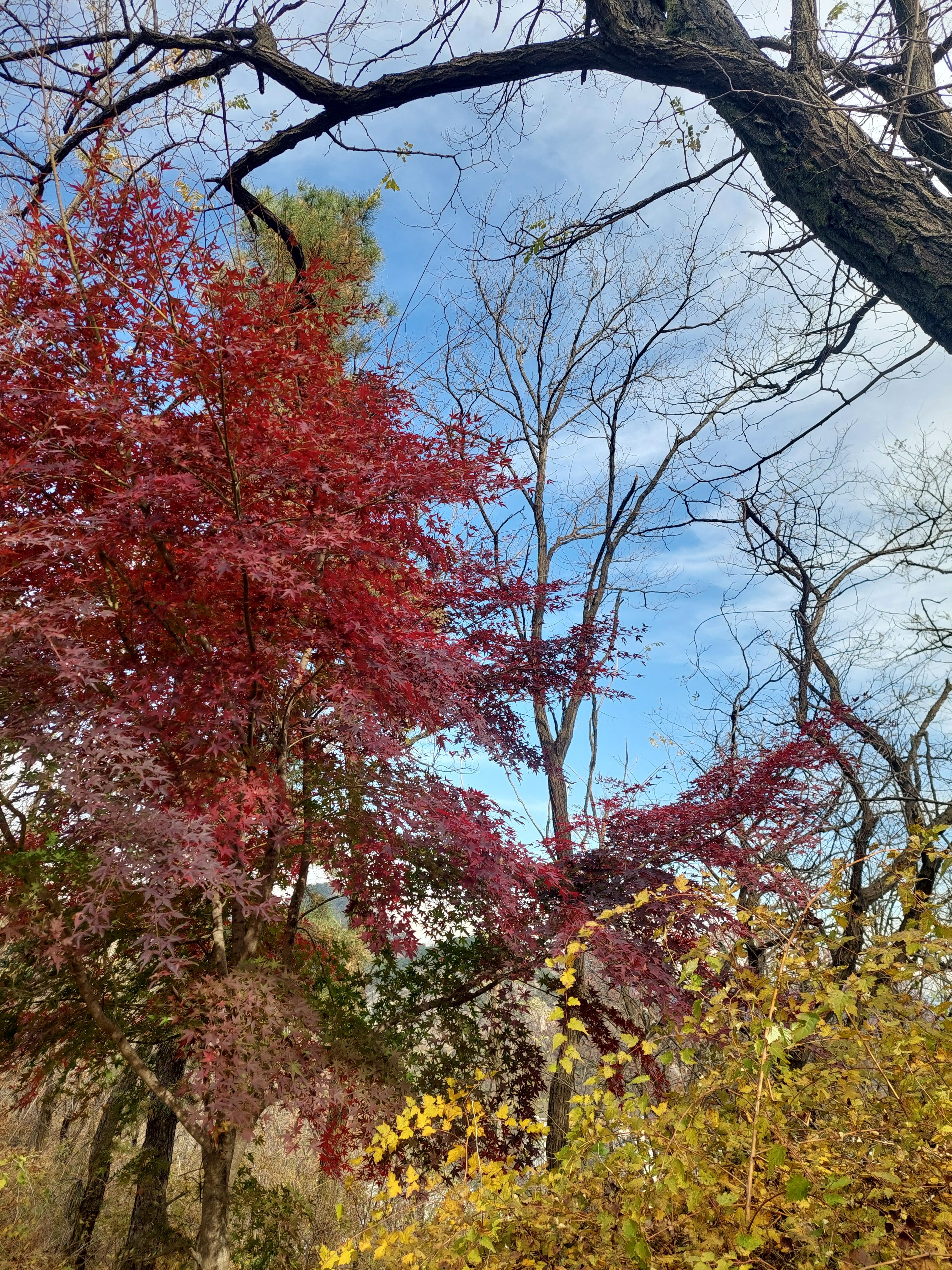 안산