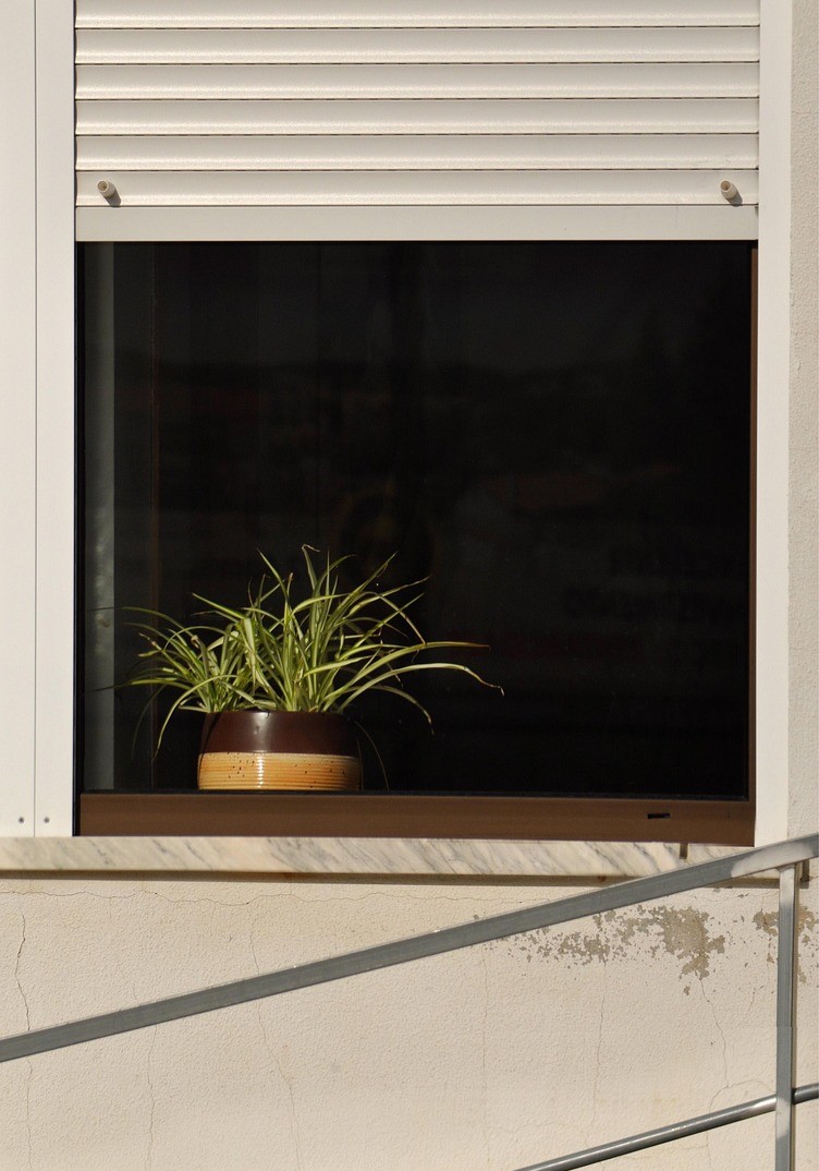 열린 창문 사진