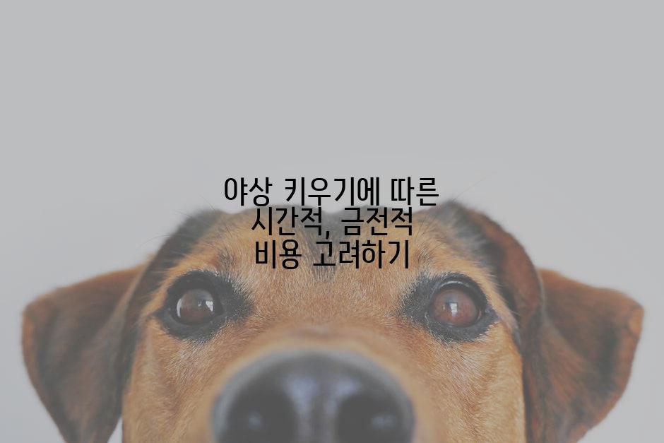 야상 키우기에 따른 시간적, 금전적 비용 고려하기