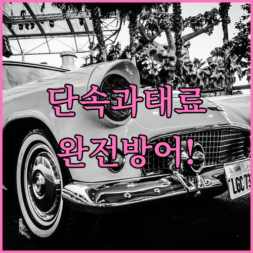 전주 완산구 주정차 단속 알림 문자 ..