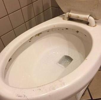 변기 검은곰팡이