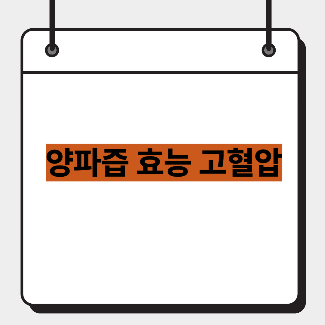 양파즙 효능 고혈압