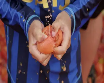 화천 토마토축제_21