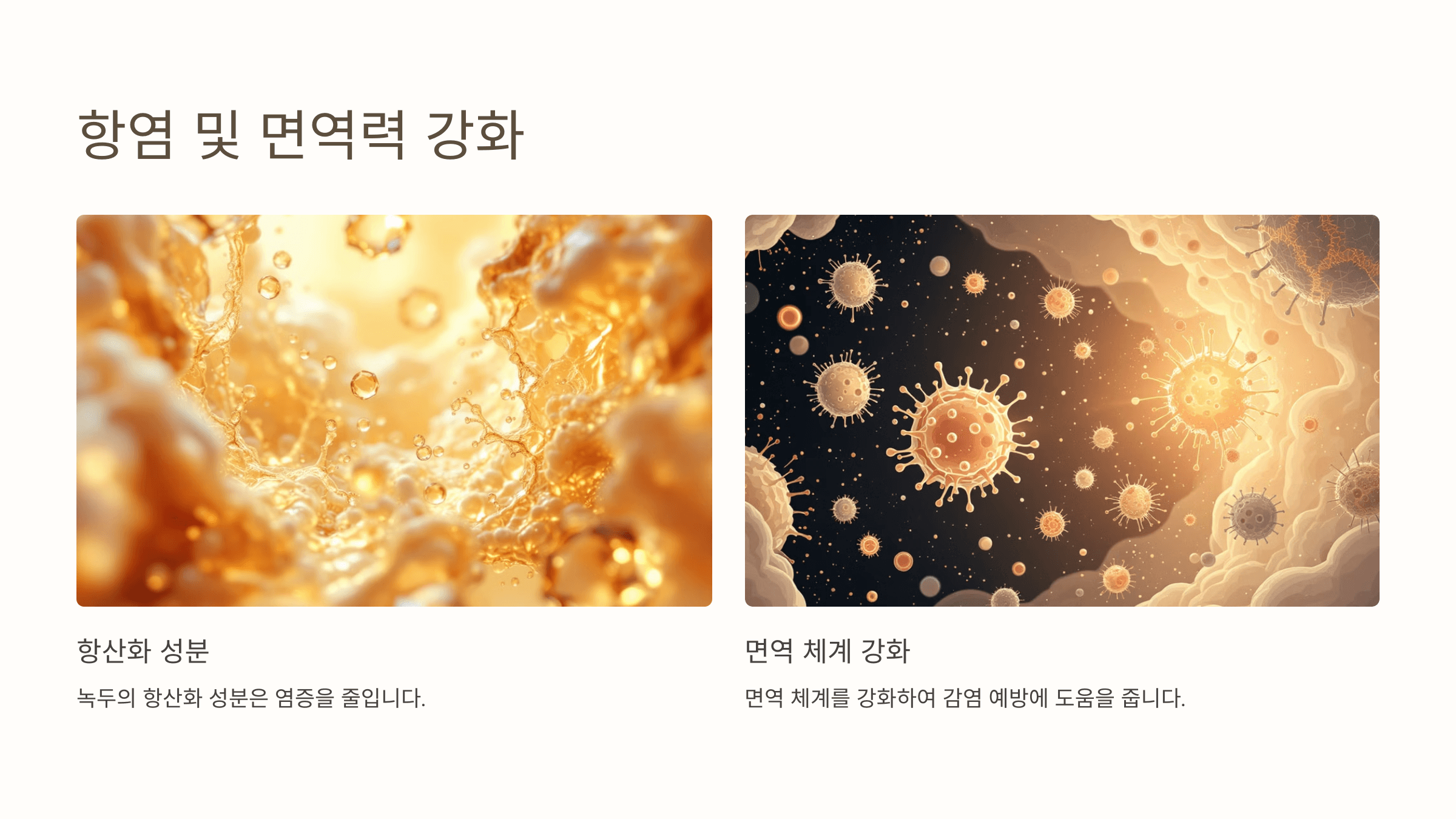 녹두 사진입니다.