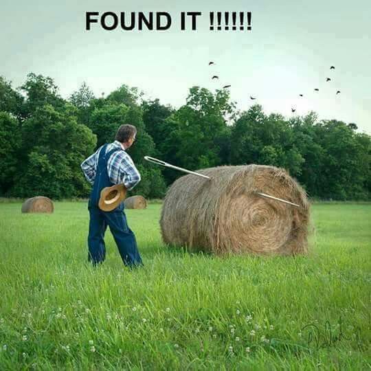 건초더미에서 바늘찾기