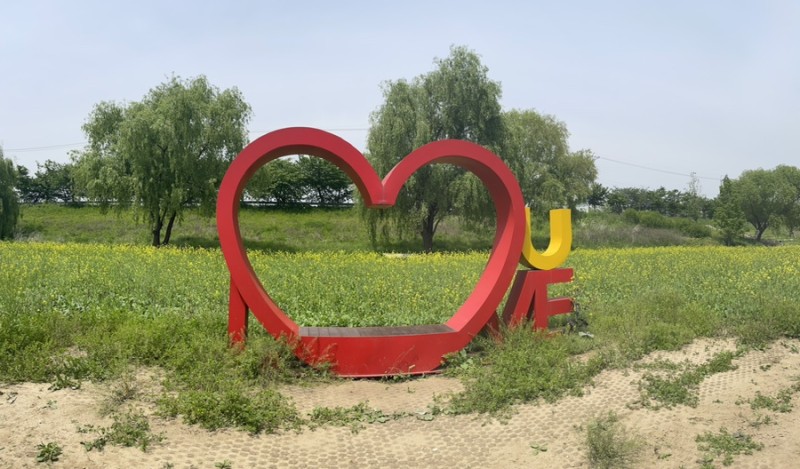  2024 창릉천 유채꽃 축제 특징