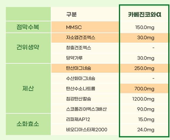 카베진_성분