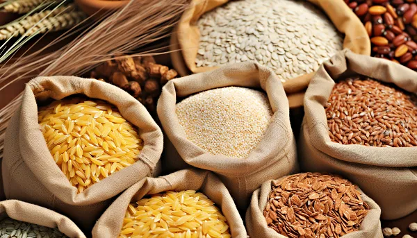 정제되지 않은 곡물들이 가지런히 담겨있다