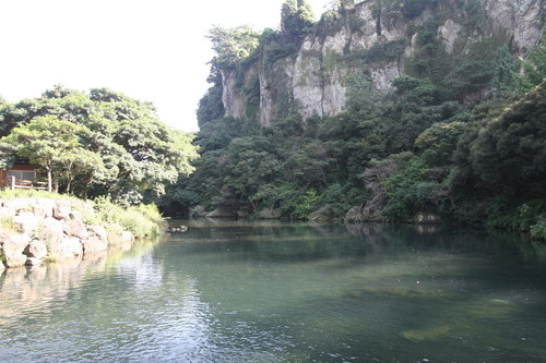 제주 노블피아호텔 주변 서귀포 가볼만한곳 BEST 10 