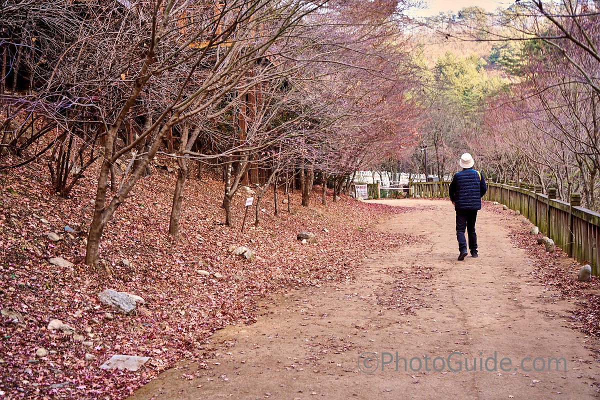 PhotoGuide.com KoreaPhoto.kr 오대산 월정사