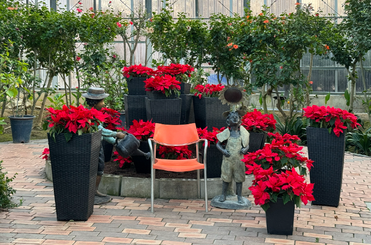 아산 세계꽃식물원