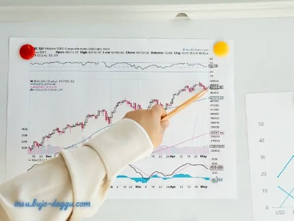 변액연금보험 수익률 공개자료 제대로 보는 법｜공시 수익률과 계좌 수익률 차이