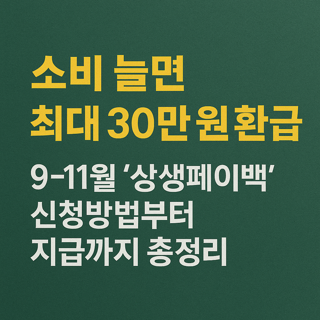 소비 늘면 최대 30만 원 환급! 9~11월 '상생페이백' 신청방법부터 지급까지 총정리