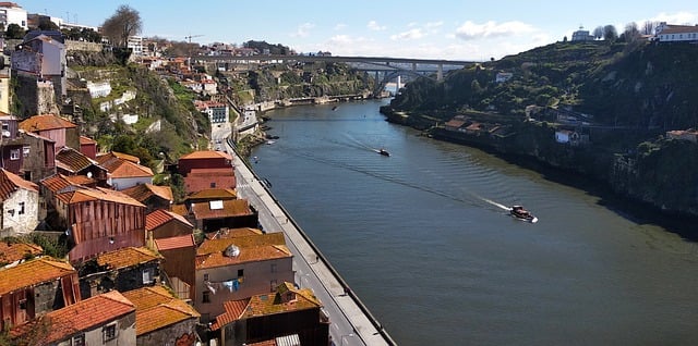 포르투갈 도시지붕