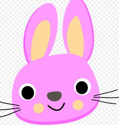 2026년 병오년 토끼띠 신년운세