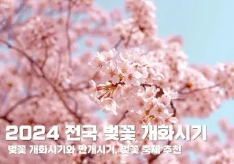 벚꽃 개화시기 2025 만개시기 히든스팟_9