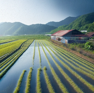 손해평가사-1차-필기-시험-기출문제-다운로드-단기-공부방법