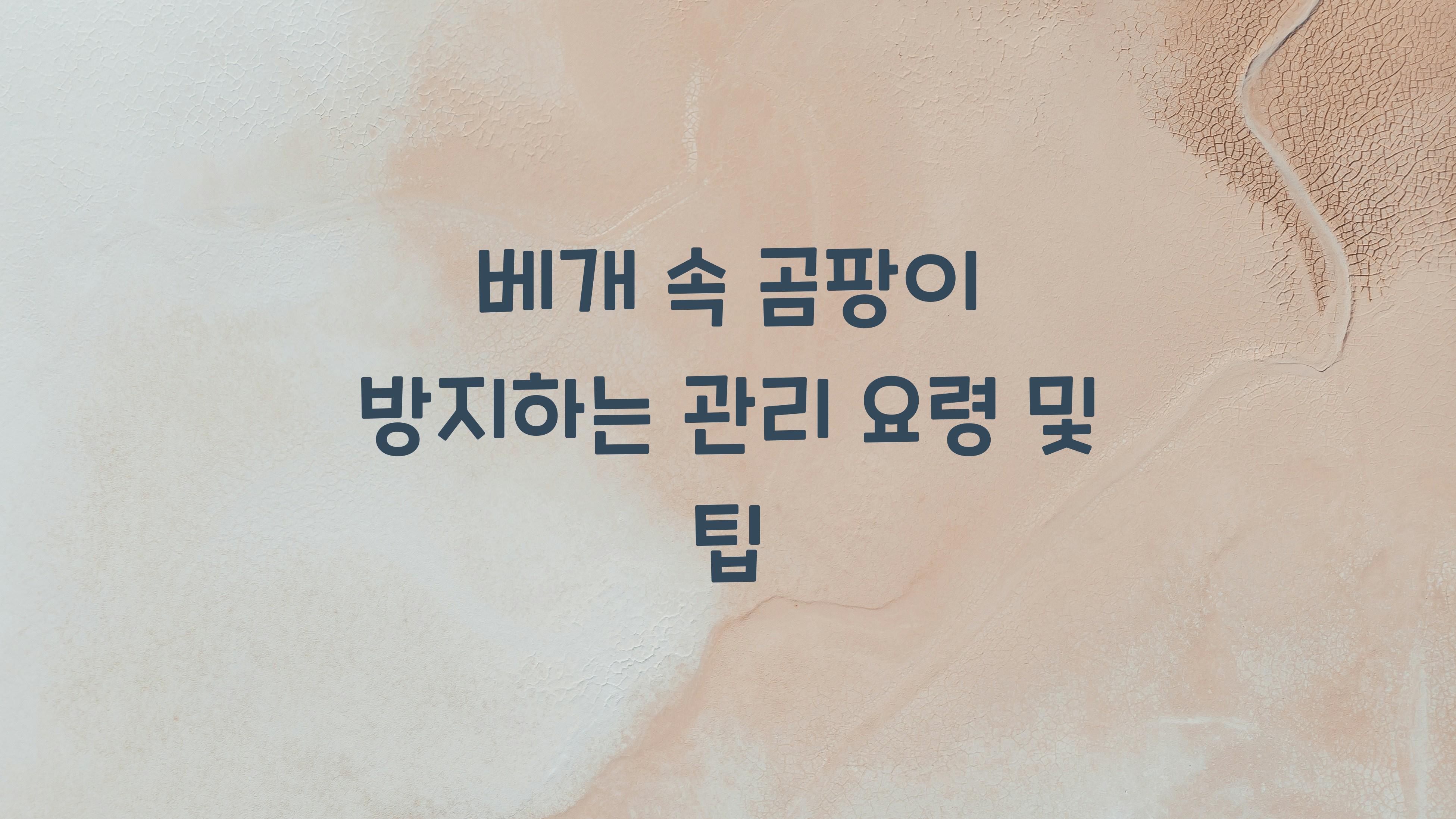 베개 속 곰팡이 방지하는 관리 요령