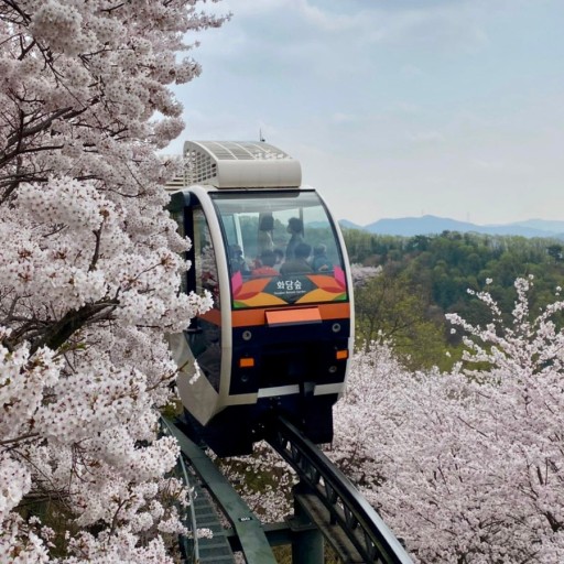 화담숲 모노레일